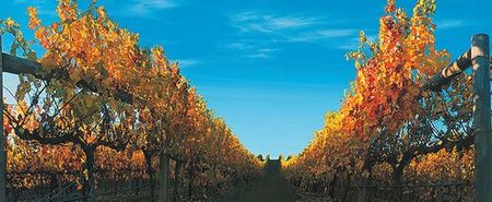 Nagambie Lakes Leisure Park - Accommodation BNB 5