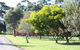 Otways Tourist Park - thumb 0