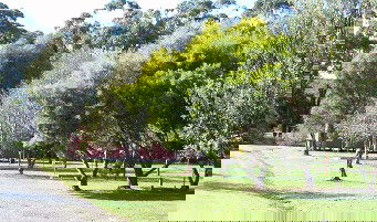 Otways Tourist Park - Accommodation BNB 0
