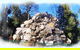 Otways Tourist Park - thumb 3