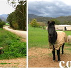 Emerald Park Holiday Farm - Accommodation BNB
