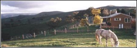 Idlewild Park Farm Accommodation - Accommodation BNB 1