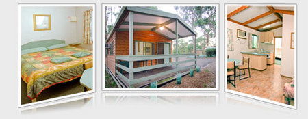 A Maze N Things Holiday Park - Accommodation BNB 5