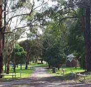Moe Gardens Caravan Park - Accommodation BNB
