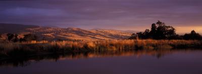 Wombat Hills Cottages - Accommodation BNB 3