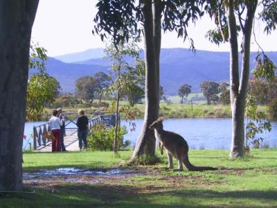 Wombat Hills Cottages - Accommodation BNB 4