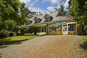 Tamborine Mountain QLD Accommodation BNB