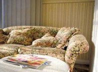 The Kosy Koala - Accommodation BNB 1