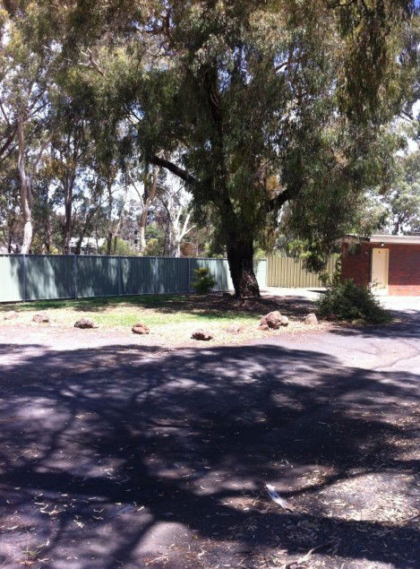 Golden Country Motel And Caravan Park - Accommodation BNB 2