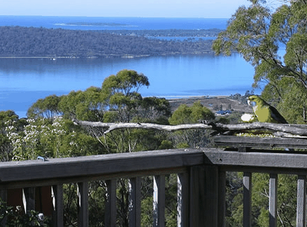 Bed in the Treetops - Accommodation BNB