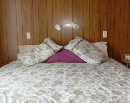 Lady Barron Holiday House - Accommodation BNB 2