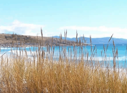 White Sands Estate - Accommodation BNB