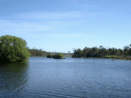 Currawong Lakes - Accommodation BNB