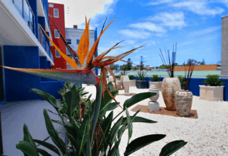Mantra Quayside - Accommodation BNB 4