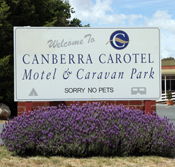 Canberra Carotel Motel - Accommodation BNB