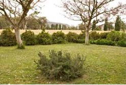 Claremont Cottage - Accommodation BNB 2