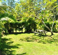 Wooli Caravan Park - Accommodation BNB