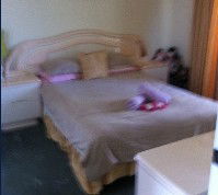 Lake Illawarra Bed & Breakfast - Accommodation BNB 2