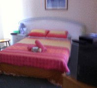 Lake Illawarra Bed & Breakfast - Accommodation BNB 4