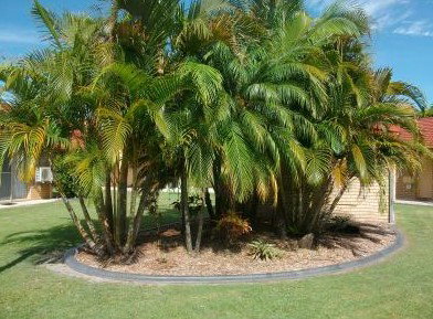 Yamba Motor Inn - Accommodation BNB 5