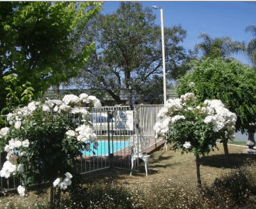 Aromet Motor Inn - Accommodation BNB 5