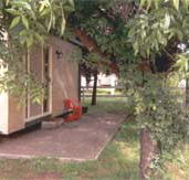 Carinya Cabins  Caravan Park - Accommodation BNB