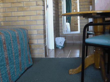 Dragon  Phoenix Motel - Accommodation BNB
