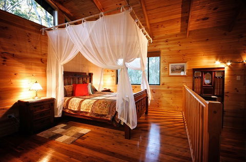 Ravensbourne Forest Chalets - Accommodation BNB 0