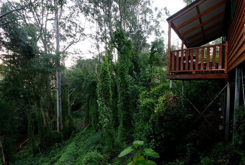 Ravensbourne Forest Chalets - Accommodation BNB 1