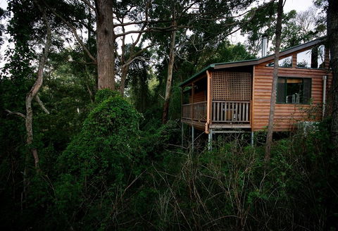 Ravensbourne Forest Chalets - Accommodation BNB 4
