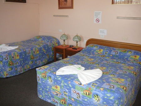 Civic Motel Grafton - Accommodation BNB 2