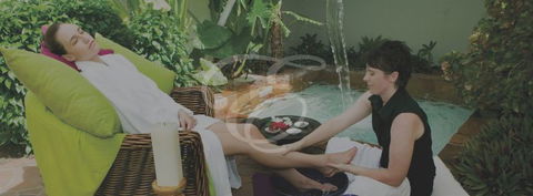 Peppers Spa - Palm Cove - Accommodation BNB 3