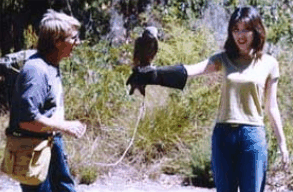 Eagles Heritage Raptor Wildlife Centre - Accommodation BNB 2