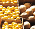 Brisbane Markets - Accommodation BNB