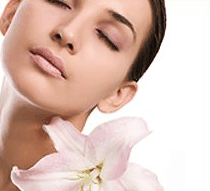 Stephanies Spa Retreat - Accommodation BNB