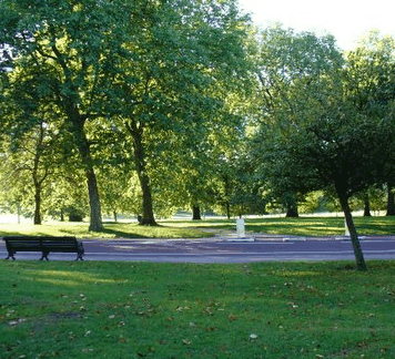 New Farm Park - Accommodation BNB