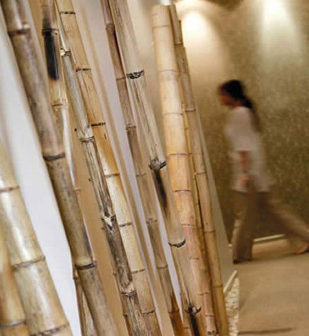Spa Nirvana - Accommodation BNB 0