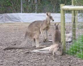 Eurack VIC Accommodation BNB