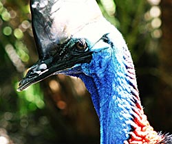 Alma Park Zoo - Accommodation BNB 0