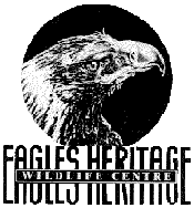 Eagles Heritage - Accommodation BNB 0