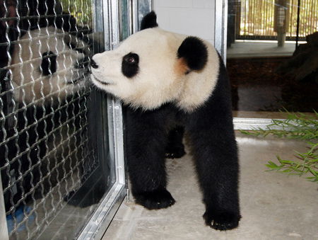 Adelaide Zoo - Accommodation BNB 3