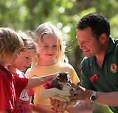 Cleland Wildlife Park - Accommodation BNB