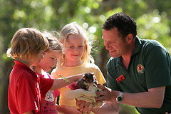 Cleland Wildlife Park - Accommodation BNB 0