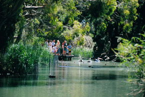 Cleland Wildlife Park - Accommodation BNB 1