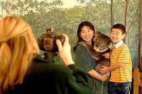 Cleland Wildlife Park - Accommodation BNB 2