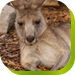 Prairiewood NSW Accommodation BNB