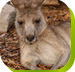 Calmsley Hill City Farm - Accommodation BNB