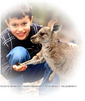 Australia Walkabout Wildlife Park - Accommodation BNB 1