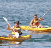Manly Kayaks - Accommodation BNB