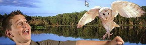 Territory Wildlife Park - Accommodation BNB 2